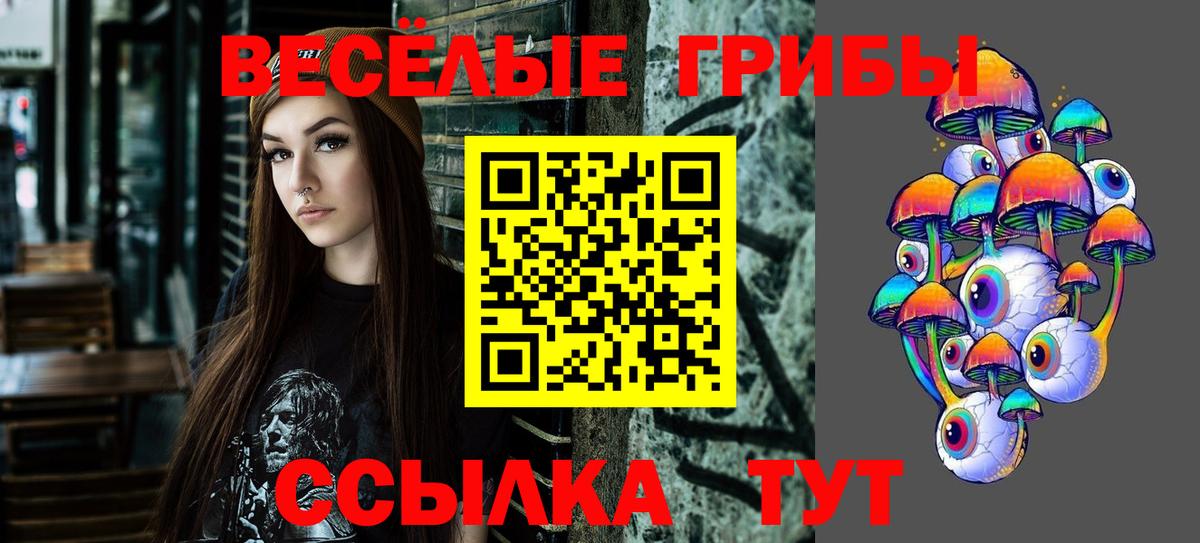 Заринск  Псилоцибиновые грибы прущие грибы  Вход с VPN  Галлюциногенные грибы Psilocybe 